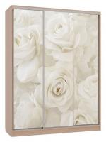 Шкаф-купе Бассо 7-600 розы (полки слева) дуб млечный