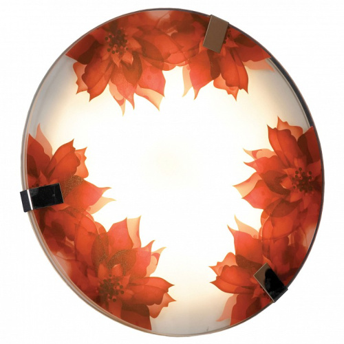 Накладной светильник Lussole Cascano LSN-5252-01. Фото №1