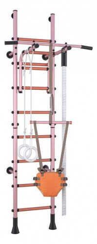 Комплекс спортивный Polini Sport Turbo,. Фото №1