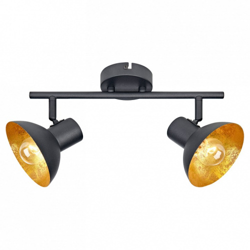 Спот Lussole Louisville GRLSP-9974. Фото №1