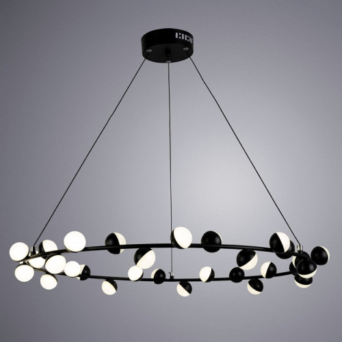 Подвесная люстра Arte Lamp Dexter A3619SP-30BK. Фото №2