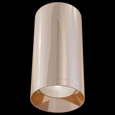 Накладной светильник Maytoni Alfa C010CL-01RG фото Накладной светильник Maytoni Alfa C010CL-01RG. Фото №2